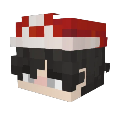 RyoCookie Minecraft avatar head, 3D render