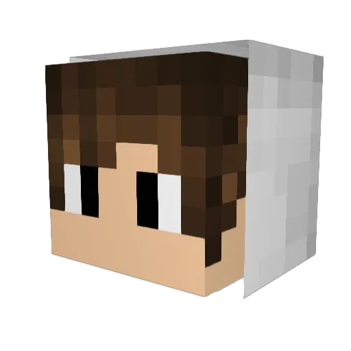 Ryo_p Minecraft avatar head, 3D render