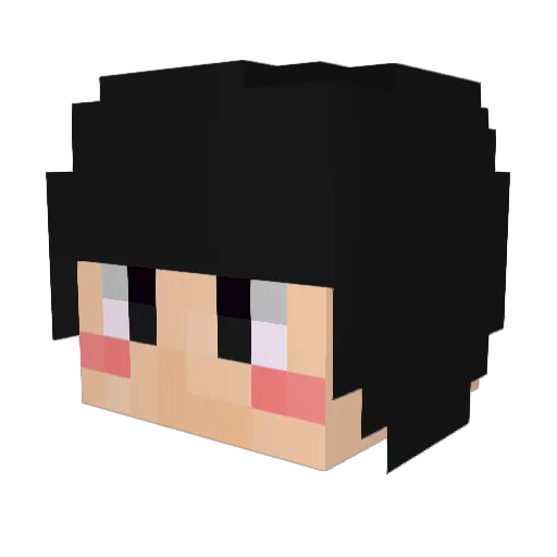 Ryohwa_ Minecraft avatar head, 3D render
