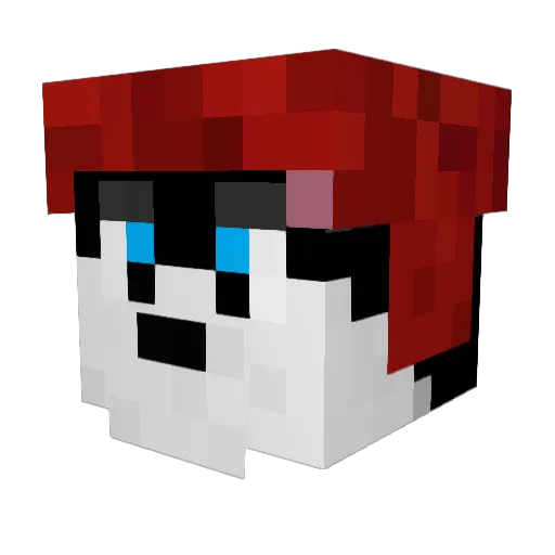Ryokcha Minecraft avatar head, 3D render