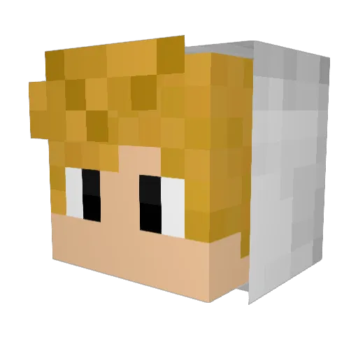 Ryonnnnnnnn Minecraft avatar head, 3D render