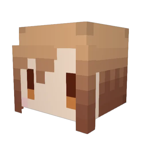 Ryoooon7 Minecraft avatar head, 3D render