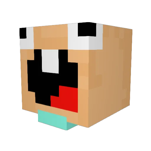 Ryoriku22 Minecraft avatar head, 3D render