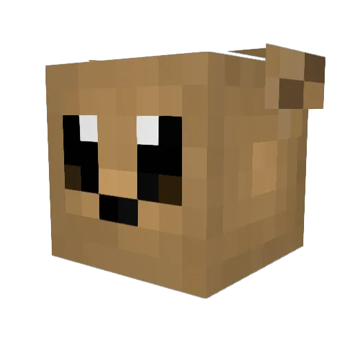 Ryothedragon232 Minecraft avatar head, 3D render