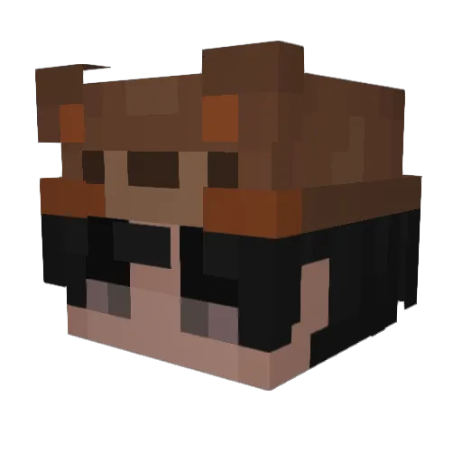 Ryou6666 Minecraft avatar head, 3D render