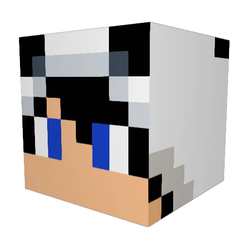 RyouriNinja Minecraft avatar head, 3D render