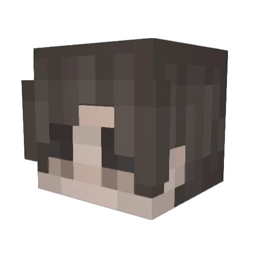 Rype_0710 Minecraft avatar head, 3D render