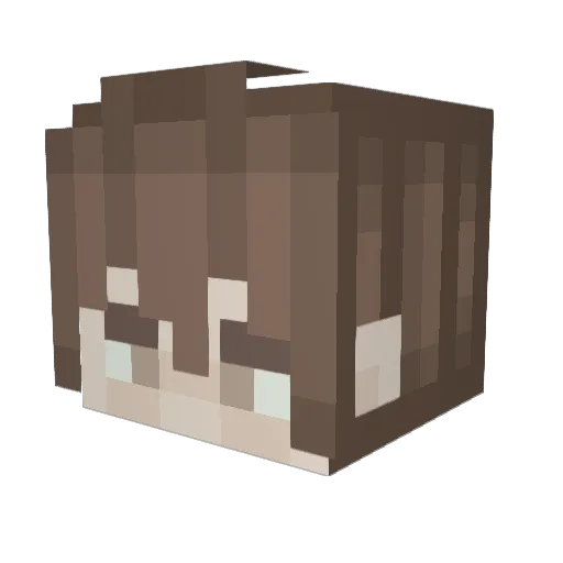 Rypiks Minecraft avatar head, 3D render