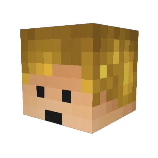 Ryply Minecraft avatar head, 3D render