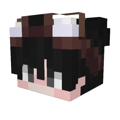 Ryr0 Minecraft avatar head, 3D render
