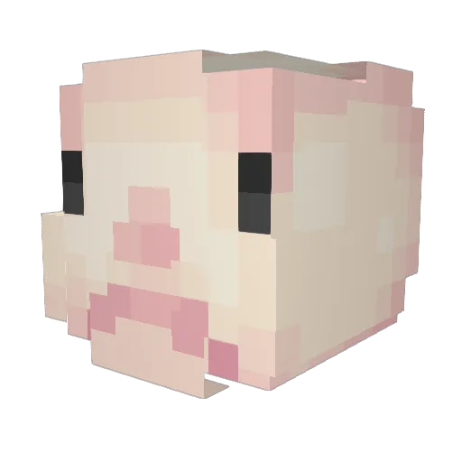 Ryrittz Minecraft avatar head, 3D render