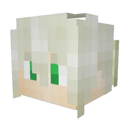 Ryrooo Minecraft avatar head, 3D render
