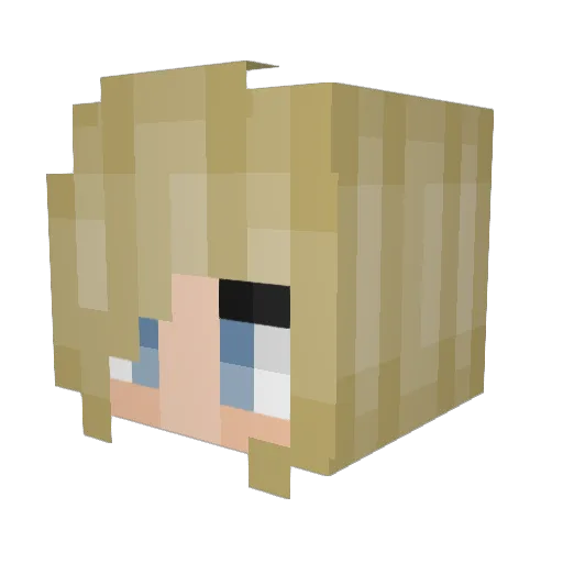 RyryplaysMC Minecraft avatar head, 3D render