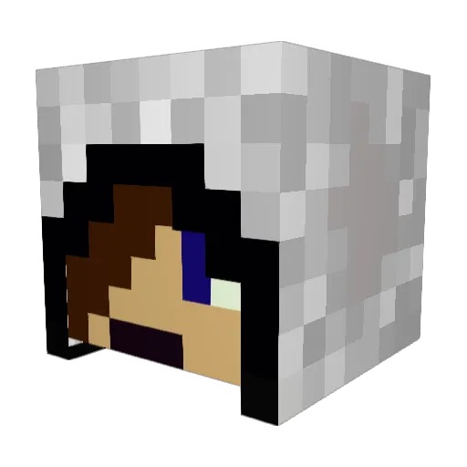Rysa_999 Minecraft avatar head, 3D render