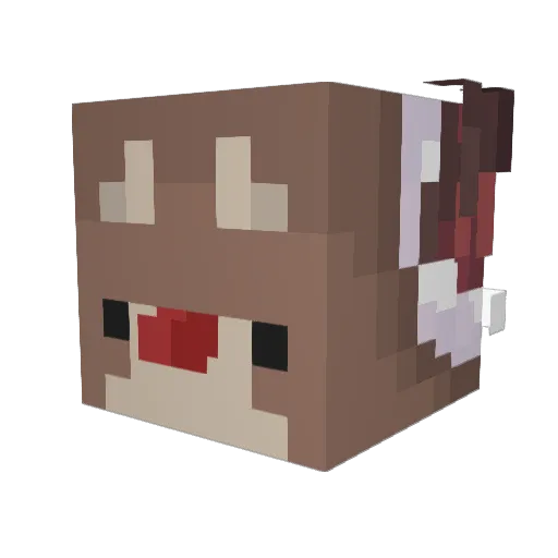 Rysan_ Minecraft avatar head, 3D render