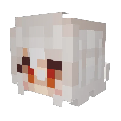 Ryshaithebest Minecraft avatar head, 3D render