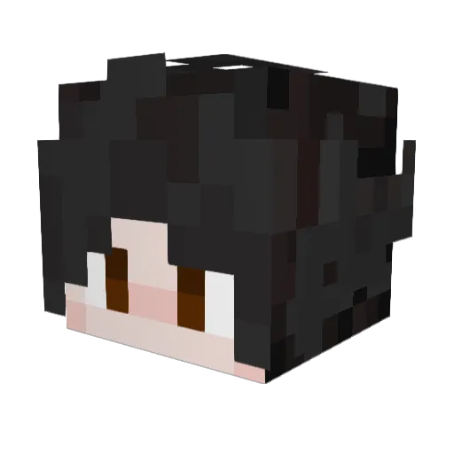 Ryshikk Minecraft avatar head, 3D render