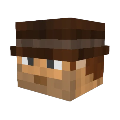 Rysholyn Minecraft avatar head, 3D render
