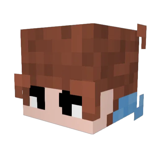 RysioGaming Minecraft avatar head, 3D render