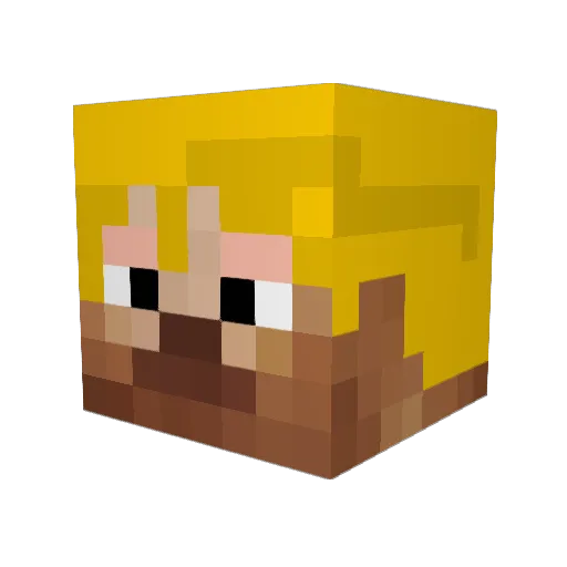 Ryszard15 Minecraft avatar head, 3D render
