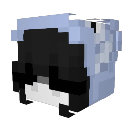 RytierTom Minecraft avatar head, 3D render