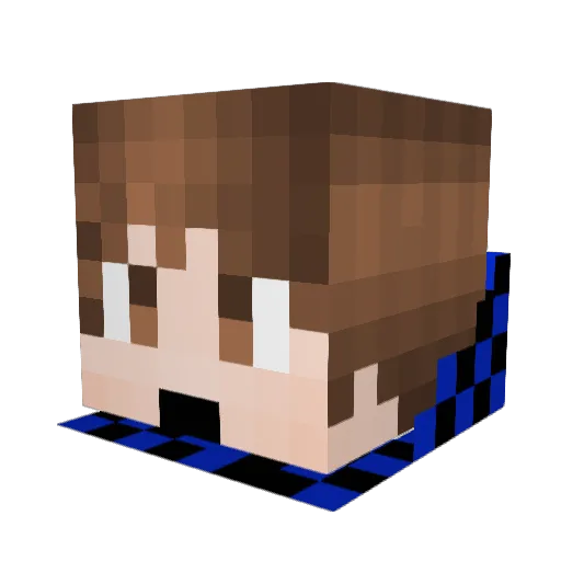 Rytrixer Minecraft avatar head, 3D render