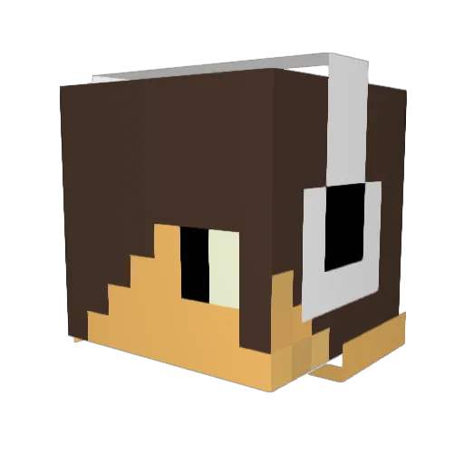 Ryu2113 Minecraft avatar head, 3D render