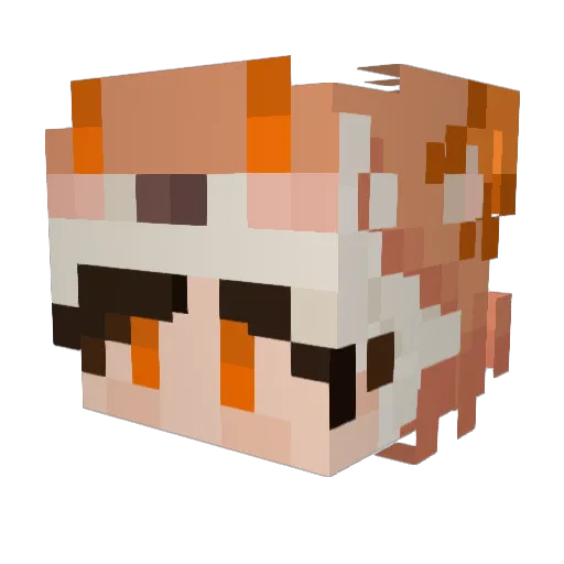 Ryu2282 Minecraft avatar head, 3D render