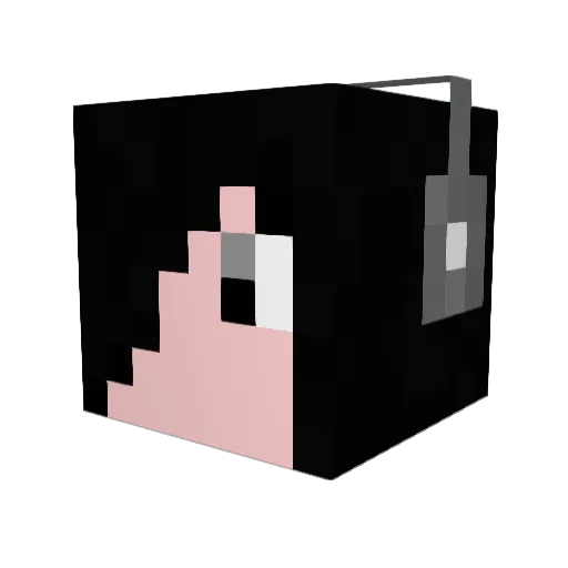 RyuStrikerSS Minecraft avatar head, 3D render