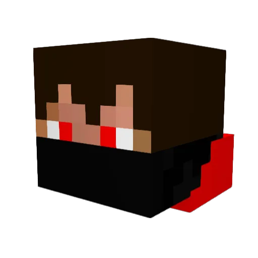 Ryu_Okami Minecraft avatar head, 3D render