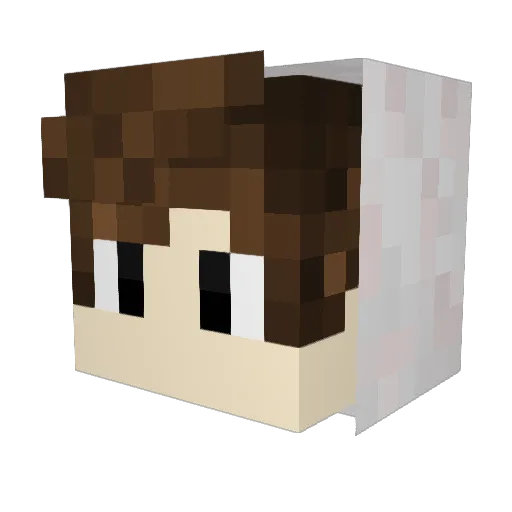 Ryu_Raito Minecraft avatar head, 3D render