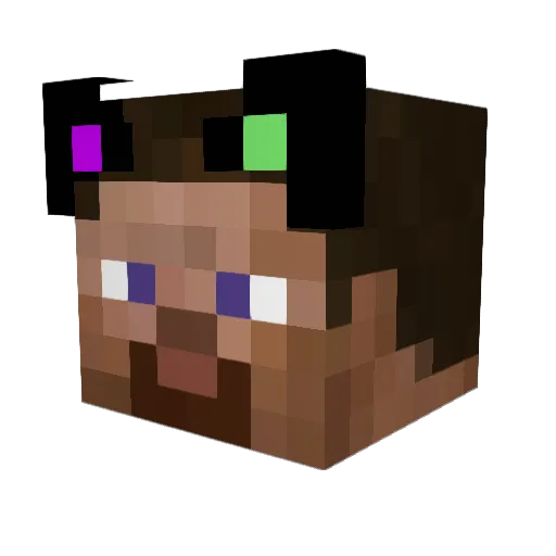 Ryuan Minecraft avatar head, 3D render