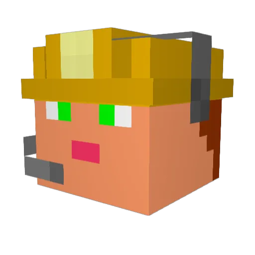Ryucan Minecraft avatar head, 3D render
