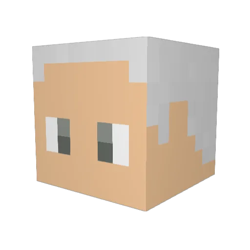Ryuchan1013 Minecraft avatar head, 3D render