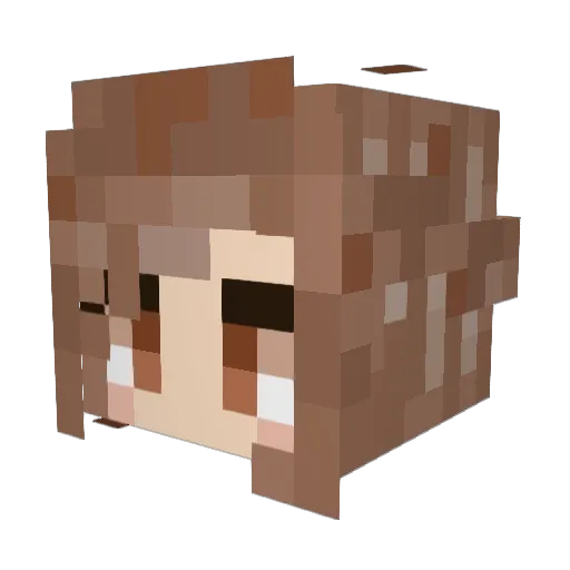 Ryudubs Minecraft avatar head, 3D render