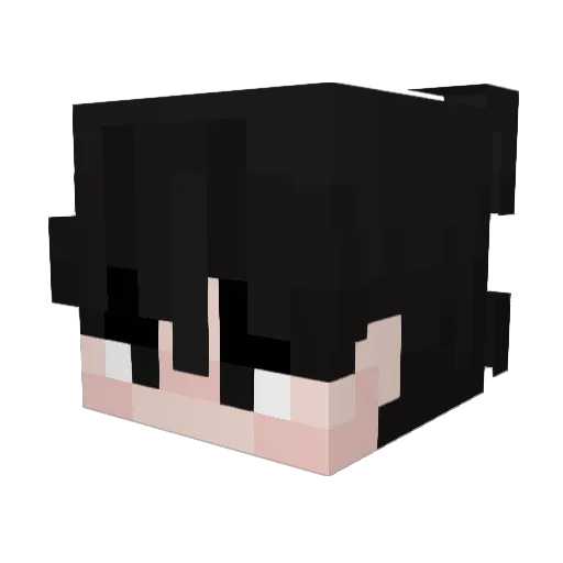 RyugaAzib Minecraft avatar head, 3D render