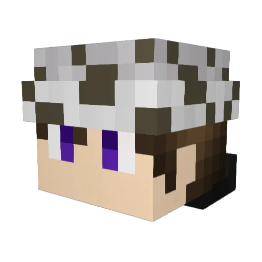RyugaaMc Minecraft avatar head, 3D render
