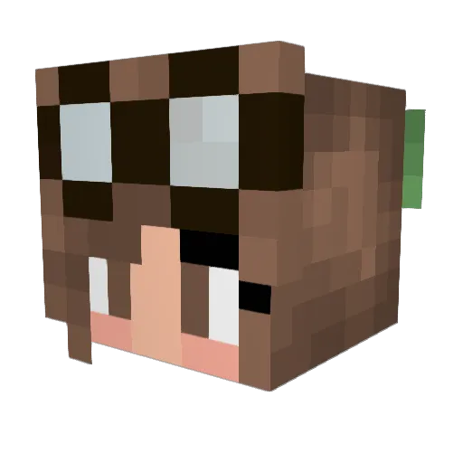 Ryugasaki007 Minecraft avatar head, 3D render