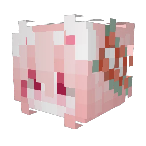 Ryuhwa2 Minecraft avatar head, 3D render
