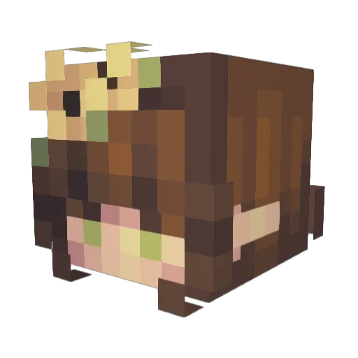 Ryujin1990 Minecraft avatar head, 3D render