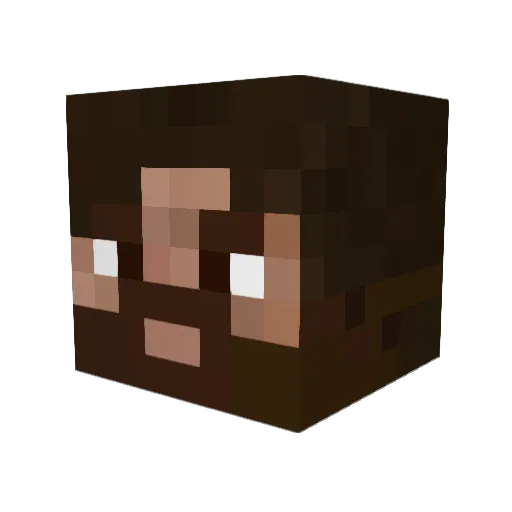 Ryujji07 Minecraft avatar head, 3D render