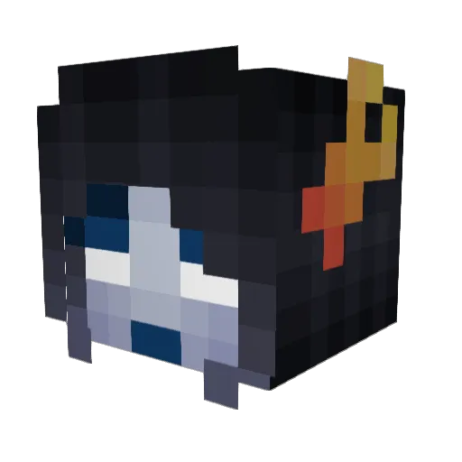 Ryukoori Minecraft avatar head, 3D render