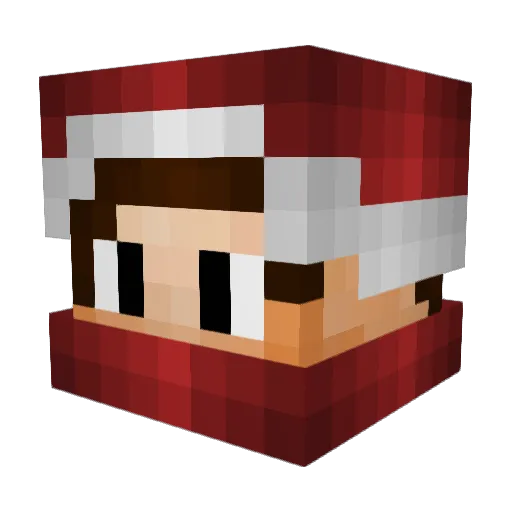 Ryukotsey Minecraft avatar head, 3D render