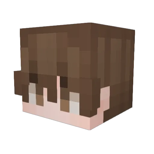 Ryumaru2525 Minecraft avatar head, 3D render