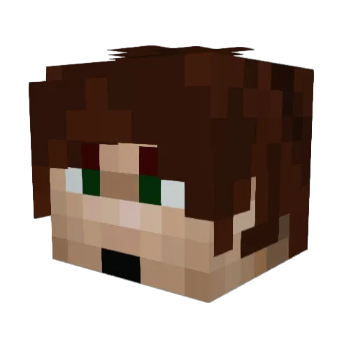 Ryumikkel Minecraft avatar head, 3D render