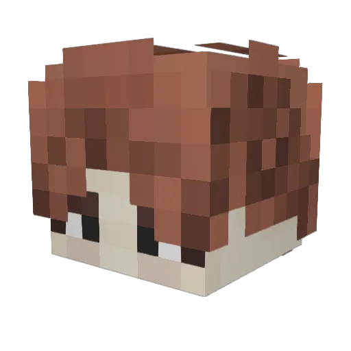 Ryuminseok1014 Minecraft avatar head, 3D render