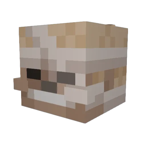 Ryunten Minecraft avatar head, 3D render