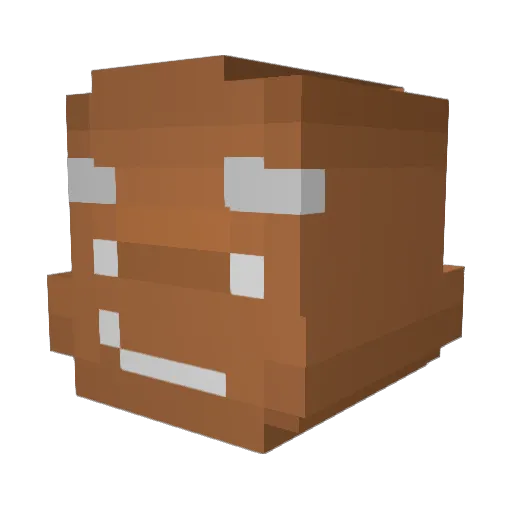 Ryusrs Minecraft avatar head, 3D render