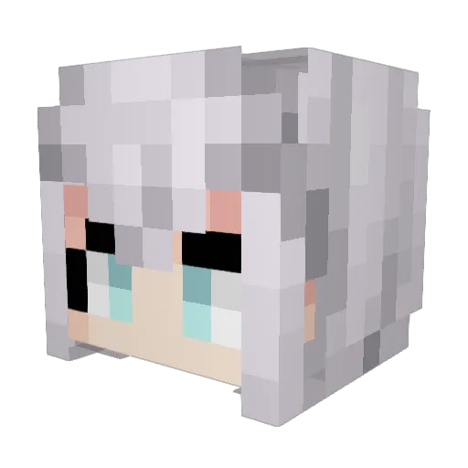 Ryuu4669 Minecraft avatar head, 3D render