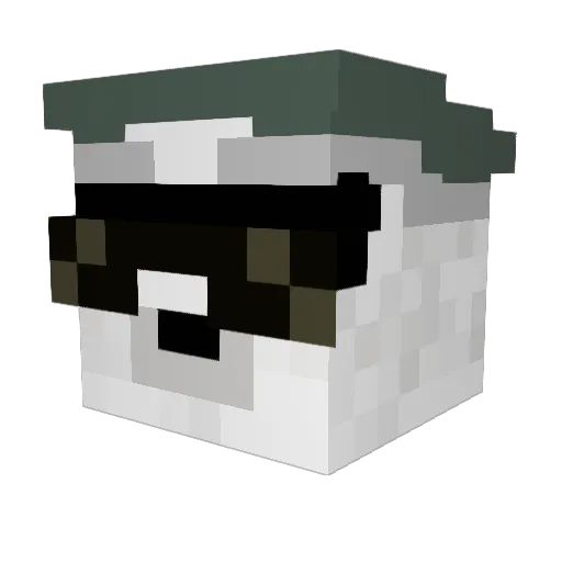 Ryuu538 Minecraft avatar head, 3D render